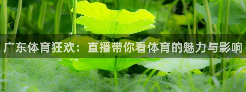 广东体育狂欢：直播带你看体育的魅力与影响