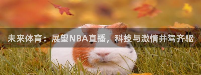 未来体育：展望NBA直播，科技与激情并驾齐驱
